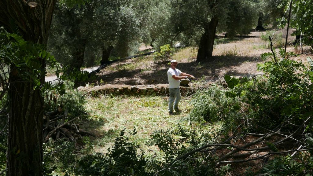 Καθαρίζοντας τους κήπους στο παλιό σχολείο μαζί με τον Freddo.